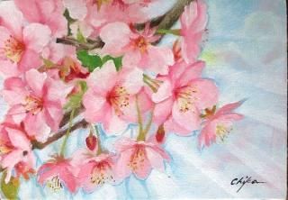 油彩画 洋画 (油絵額縁付きで納品対応可) SM 「さくら３」 内藤 千嘉