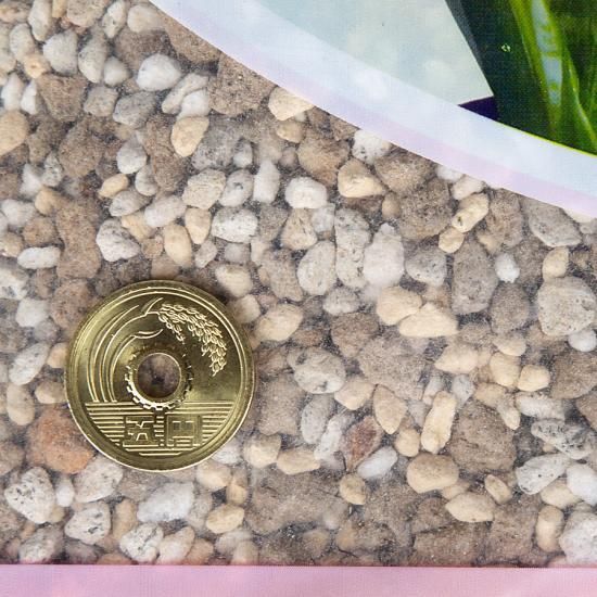 流行に サンスベリア・金のなる木の土 5L - 培養土、用土、腐葉土、肥料 ガーデン