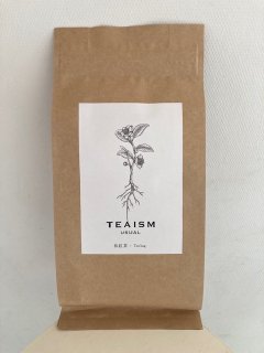 TEAISM USUAL¹ƥХå