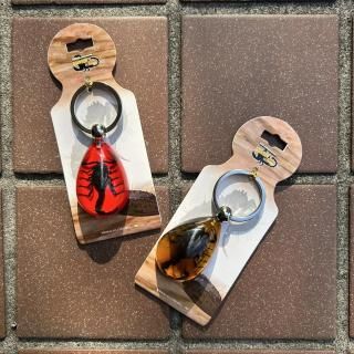 REAL BUGBLACK SCORPION TEAR DROP KEY CHAIN