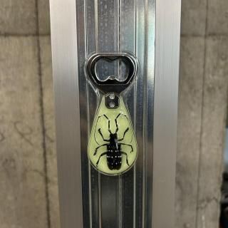 REAL BUGLONGHORN BEERTLE MAGNETIC BOTTLE OPENER