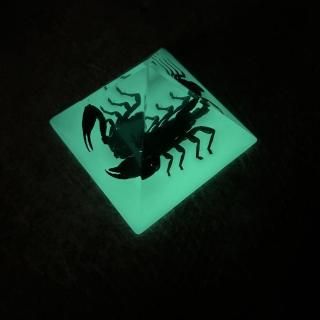 REAL BUGBLACK SCORPION PYRAMID GLOW IN THE DARK