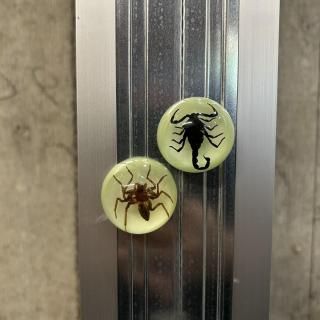 REAL BUGBLACK SCORPION&SPIDER MAGNET GLOW IN THE DARK 2pcs SET