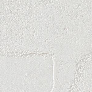 のり無し Fe 旧 Fe 6158 旧 Fe 1167 サンゲツ 壁紙 クロスの激安通販 ゲキセン のり無し Fe 旧 Fe 6158 旧 Fe 1167 サンゲツ 壁紙 クロスの激安通販 ゲキセン