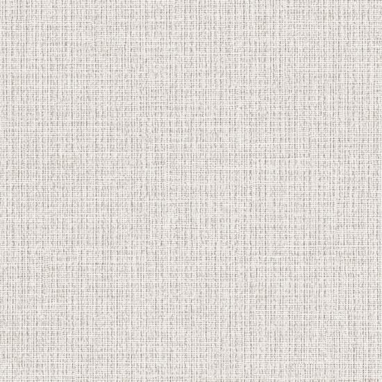 壁のぼり　ハイイロリス　剥製 壁のぼり ハイイロリス 剥製