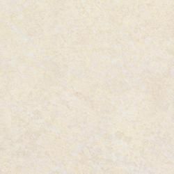 FANA 1963ZMN ���������� ��ǳ������ ���顼�� 3��8 (1��ñ��)