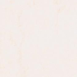 FANA 911ZMN  ǳ 顼 38 (1ñ)