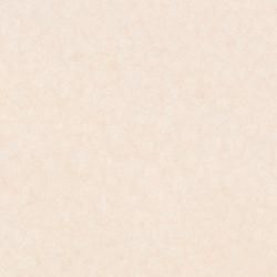 FANA 1967ZMN ���������� ��ǳ������ ���顼�� 3��8 (1��ñ��)