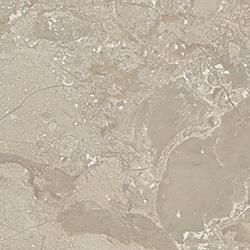 FAN 1729ZMN  ǳ 顼 38 (2ñ)