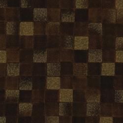 FANA 892ZMD  ǳ 顼 38 (1ñ)