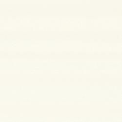 FYJ 6200ZYN19  ǳ 顼 38 (2ñ)