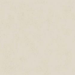 FYAA 1896ZMN  ǳ 顼 38 (1ñ)