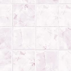 FYC 1723ZMN  ǳ 顼 9102420 (2ñ)