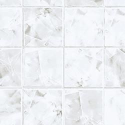 FYC 1724ZMN  ǳ 顼 9102420 (2ñ)