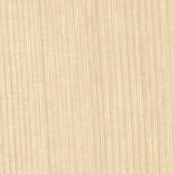 FYAA 2070ZGN  ǳ 顼 38 (1ñ)