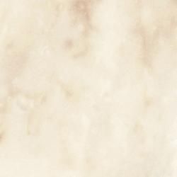 FYA 1827ZMN  ǳ 顼 38 (2ñ)