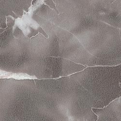 FYAA 926ZGN ���������� ��ǳ������ ���顼�� 3��8 (1��ñ��)