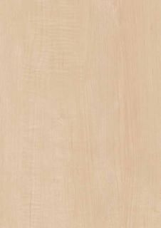 EFNA 2080ZN  ǳ 顼 38 (1ñ)