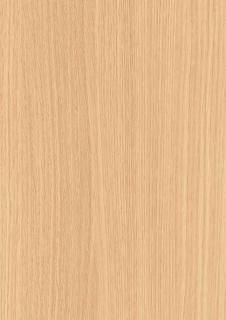 EFNA 2051ZN  ǳ 顼 38 (1ñ)