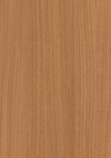 EFNA 2061ZD  ǳ 顼 38 (1ñ)