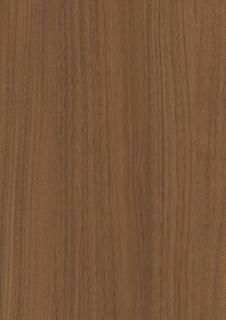 EFNA 2062ZD  ǳ 顼 38 (1ñ)