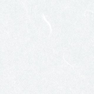TW-2 ワーロン PETシート 雲竜 (0.2×930×2150)