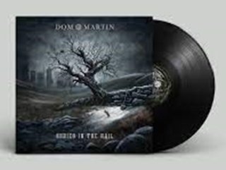 ＜LP＞Dom Martin - Buried in the Hail（輸入・アナログ盤） （2023/11/10発売）