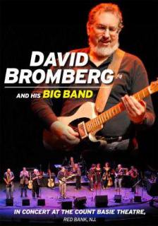 David Bromberg & His Big Band / In Concert