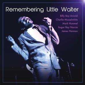 V.A. (Billy Boy Arnold, Charlie Musselwhite, Mark Hummel, etc...) / Remembering Little Walter
