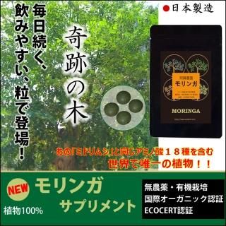 天然モリンガ サプリメント 約１ 2か月分 300粒