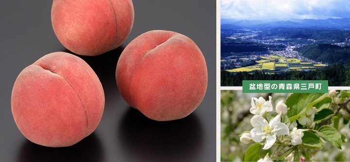 名久井岳のふもと三戸盆地の青森三戸の川中島白桃、やまさん農園の桃は寒暖差が激しい三戸盆地で甘く美味しい桃に適している地域です。