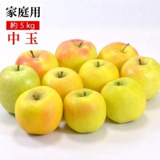 10キロぐんま名月家庭用 楽天市場】ぐんま名月 りんご (10kg) 長野産 秀品 贈答用 大玉
