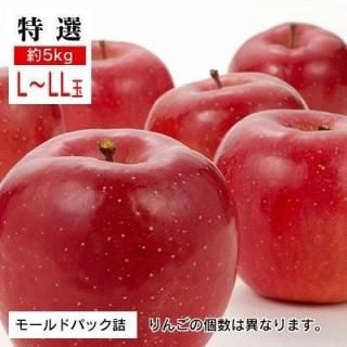 ♡りんご様ご確認♡ 完熟三戸りんご - やまさん農園 | 親子四代100年続く農園から農家直送