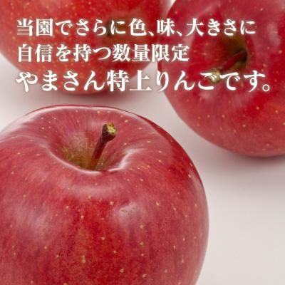 3さん専用！5Lサイズ贈答用5kg×3 3さん専用！5Lサイズ贈答用5kg×3