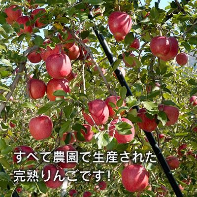 楽天市場】ぐんま名月 家庭用の通販